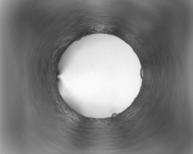 X0000053111105200508081218