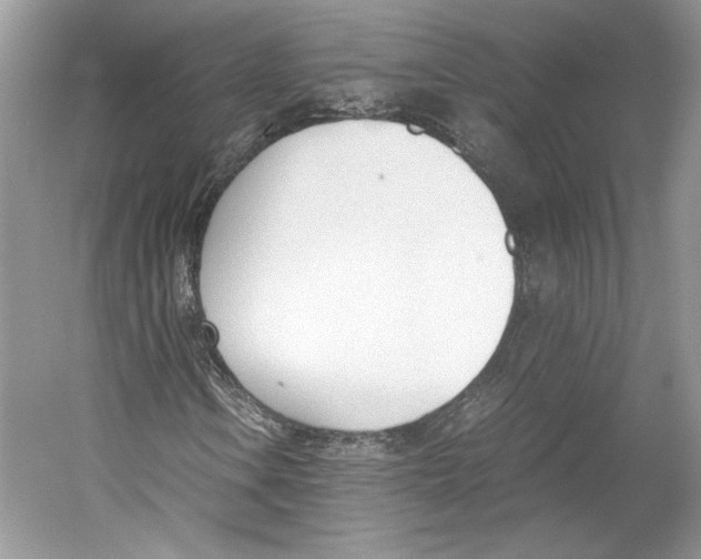 X0000053111106200508081218