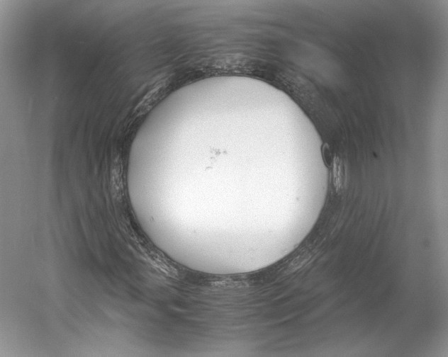 X0000053111107200508081218