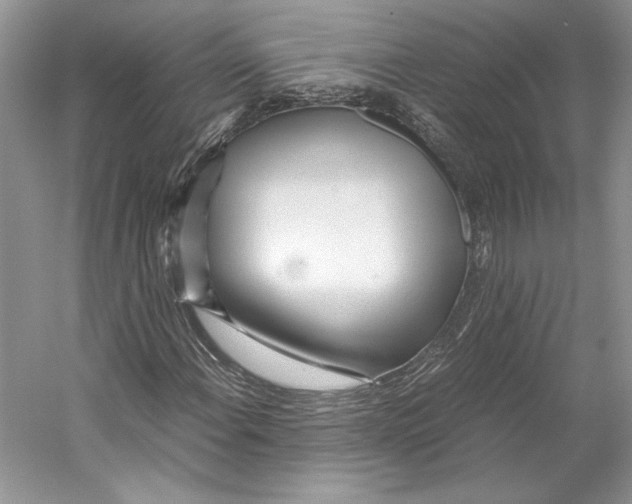 X0000053111108200508081218