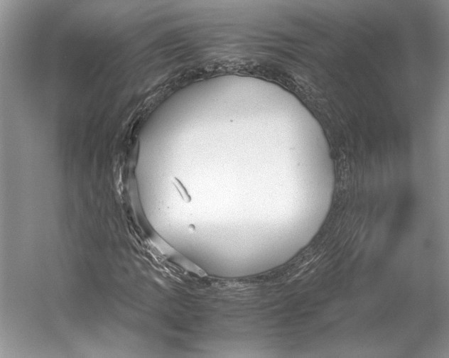 X0000053111109200508081218