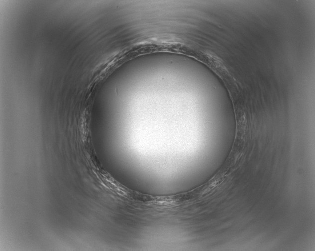 X0000053111110200508081218