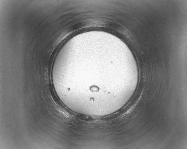 X0000053111113200508081218