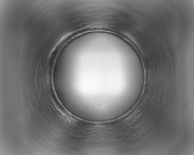 X0000053111115200508081218