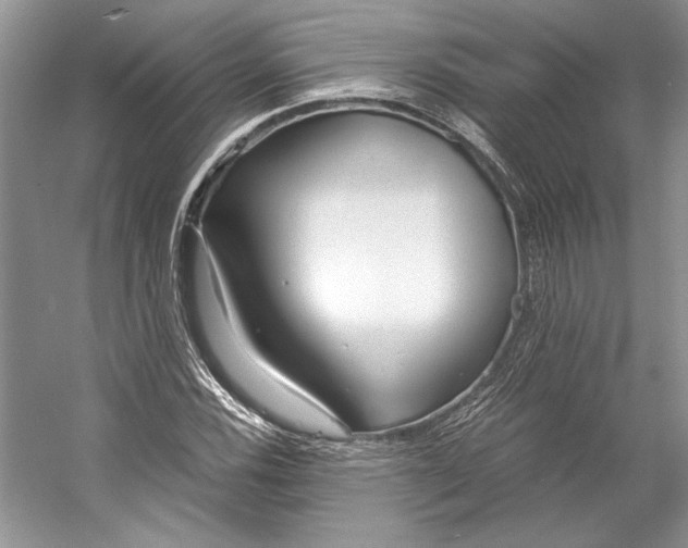 X0000053111116200508081218