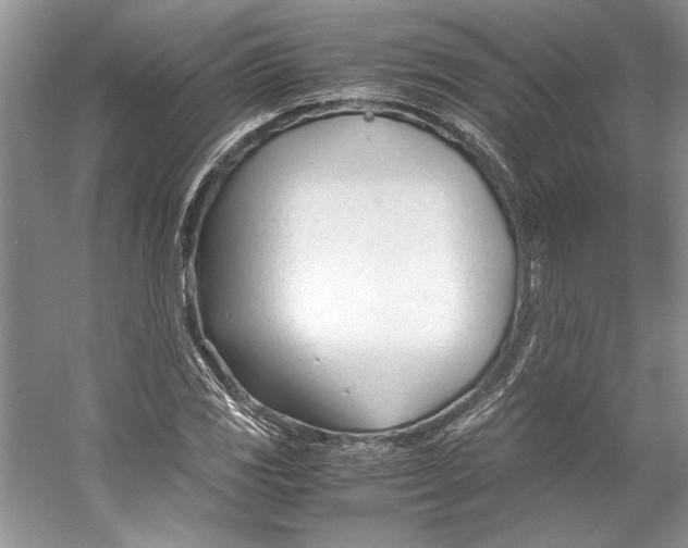 X0000053111117200508081218