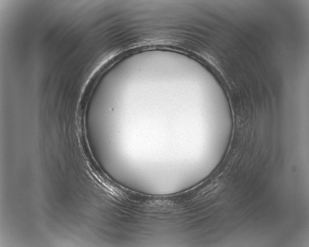 X0000053111119200508081218