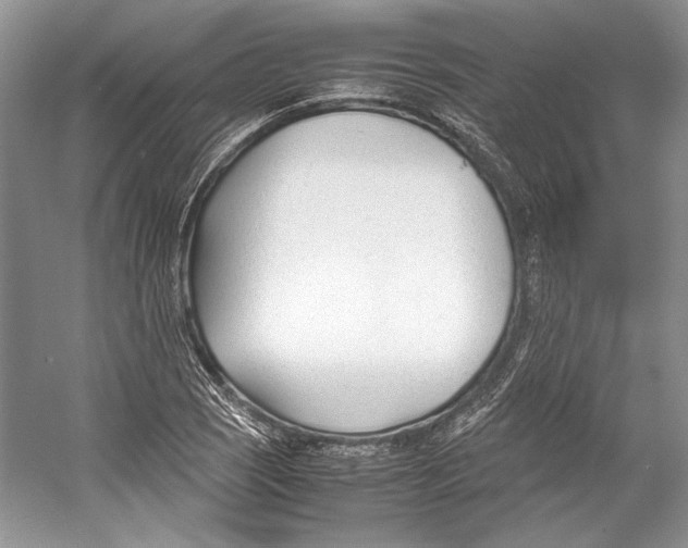 X0000053111121200508081218