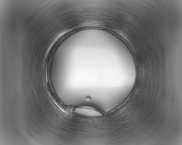 X0000053111123200508081218