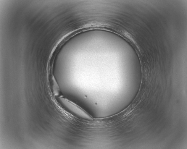 X0000053111124200508081218