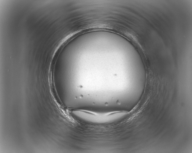 X0000053111125200508081218