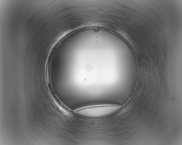 X0000053111127200508081218