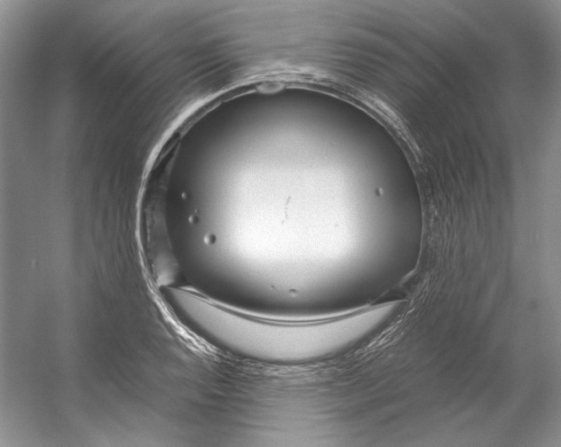 X0000053111128200508081218