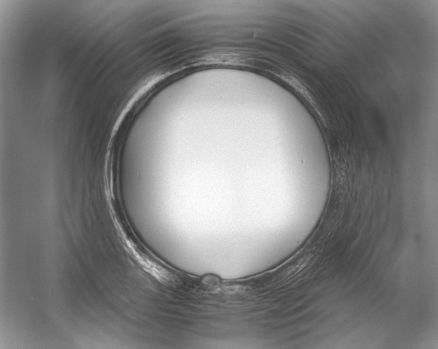 X0000053111131200508081218