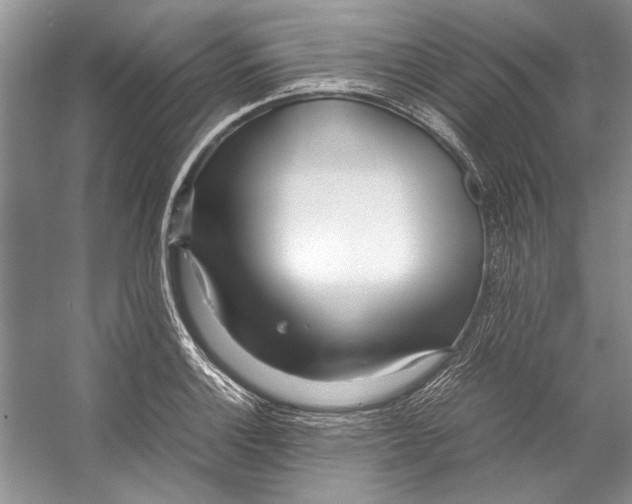 X0000053111132200508081218