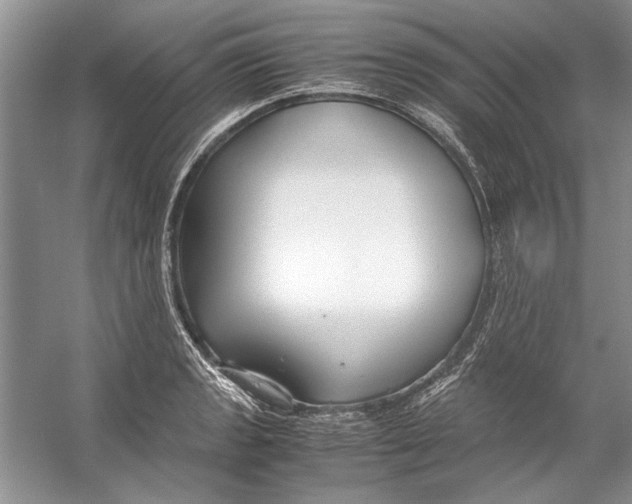 X0000053111133200508081218