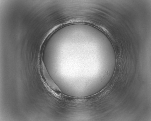 X0000053111134200508081218