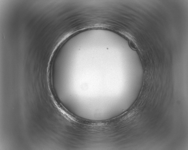 X0000053111135200508081218