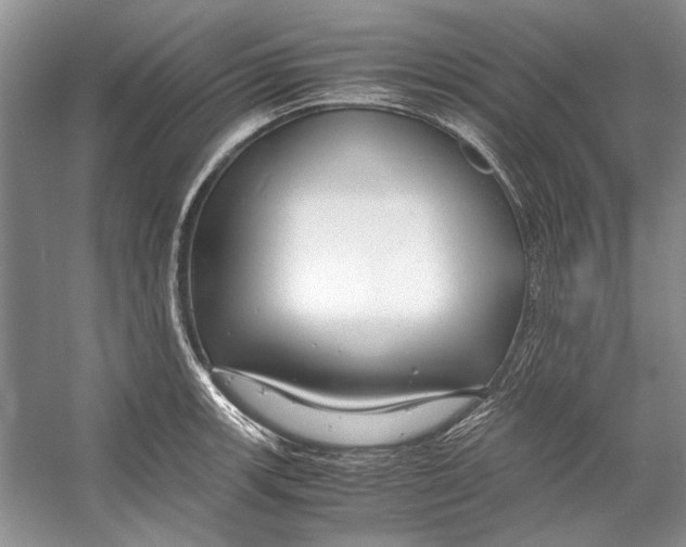 X0000053111139200508081218