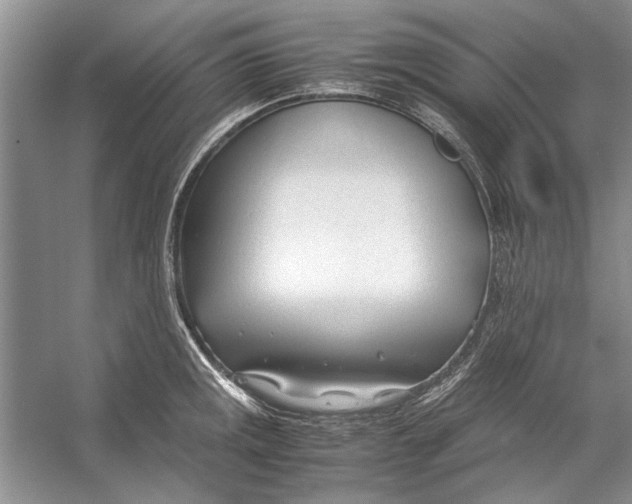 X0000053111141200508081218