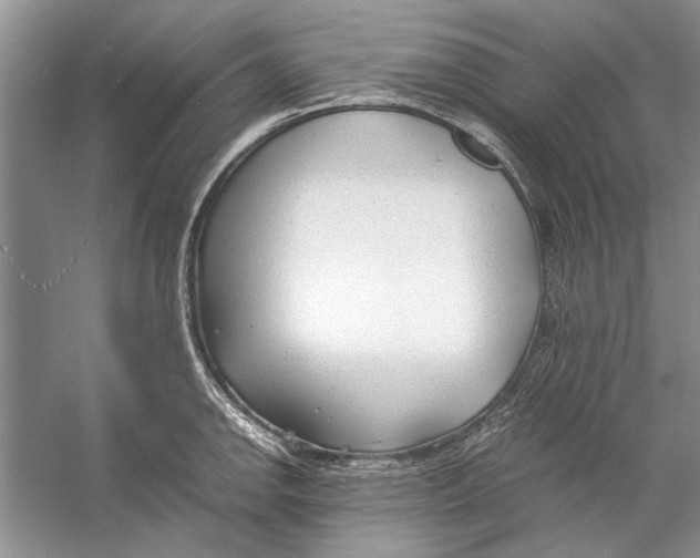 X0000053111142200508081218