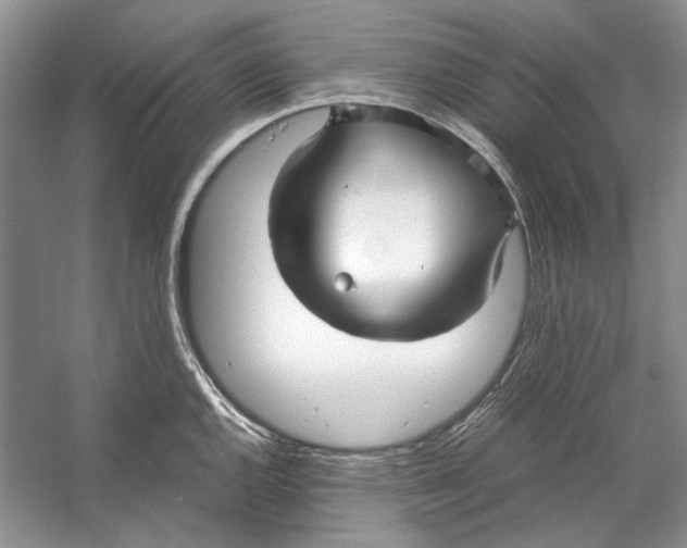 X0000053111144200508081218