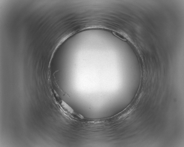 X0000053111145200508081218