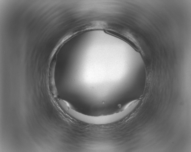 X0000053111146200508081218