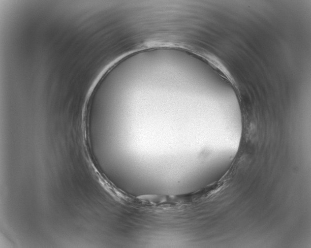 X0000053111148200508081218