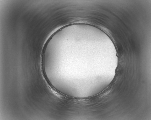 X0000053111149200508081218