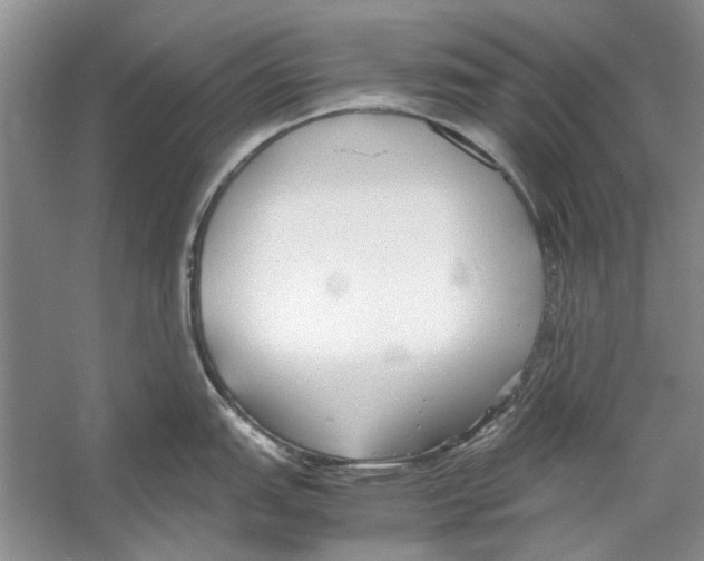 X0000053111151200508081218