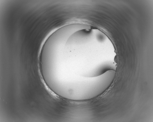 X0000053111152200508081219