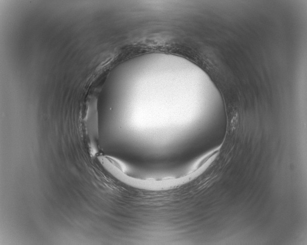 X0000053111156200508081218