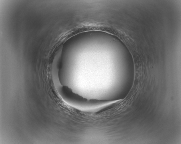 X0000053111157200508081218