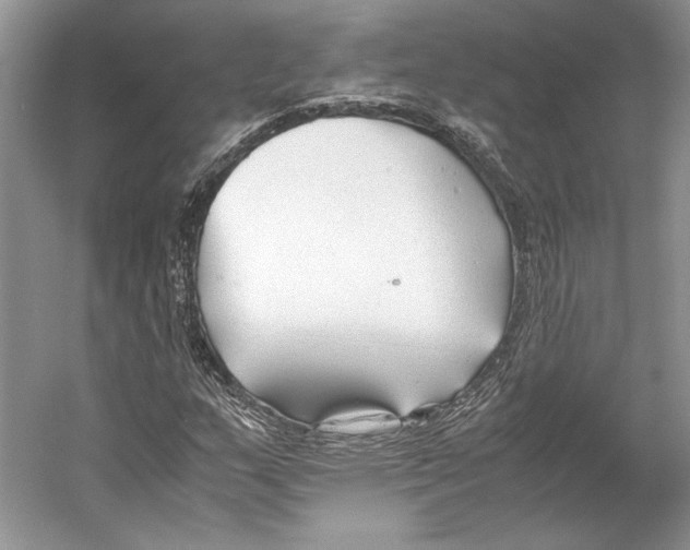 X0000053111159200508081218