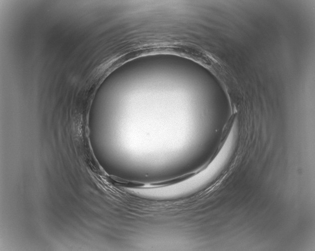 X0000053111161200508081218