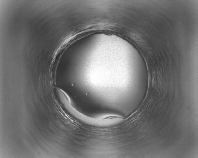 X0000053111164200508081218