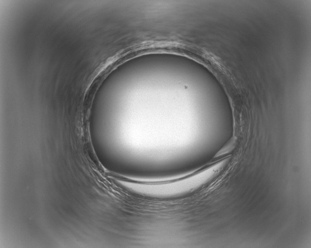 X0000053111165200508081217