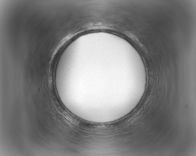 X0000053111167200508081217