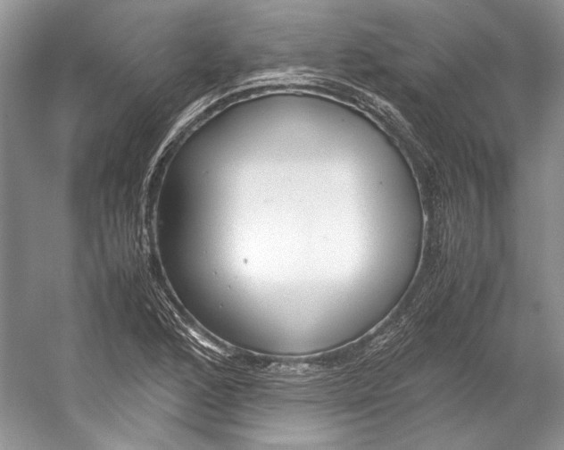 X0000053111168200508081217