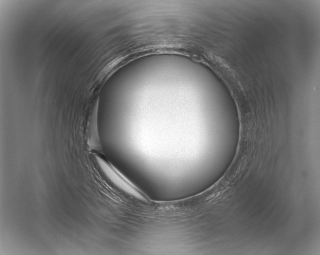 X0000053111169200508081217