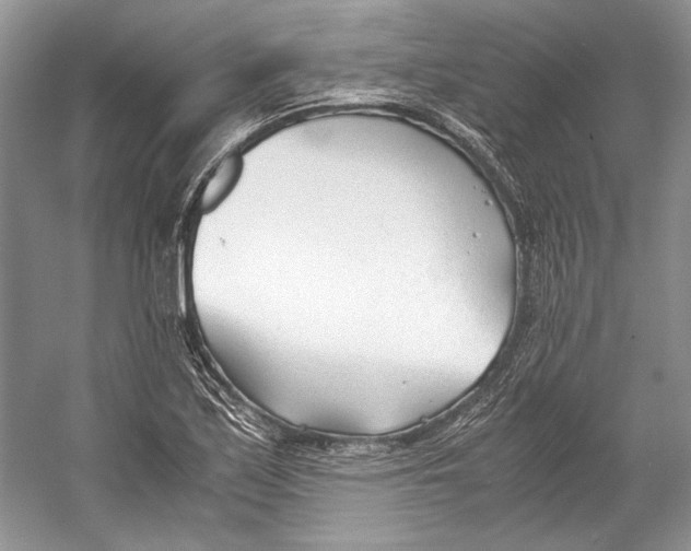 X0000053111171200508081217