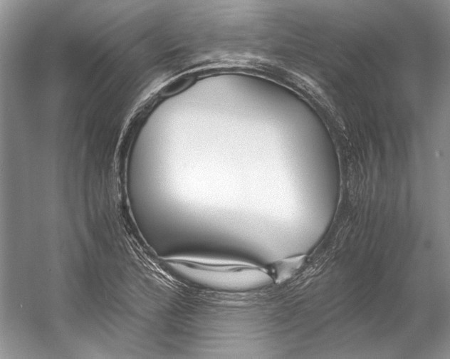 X0000053111172200508081217