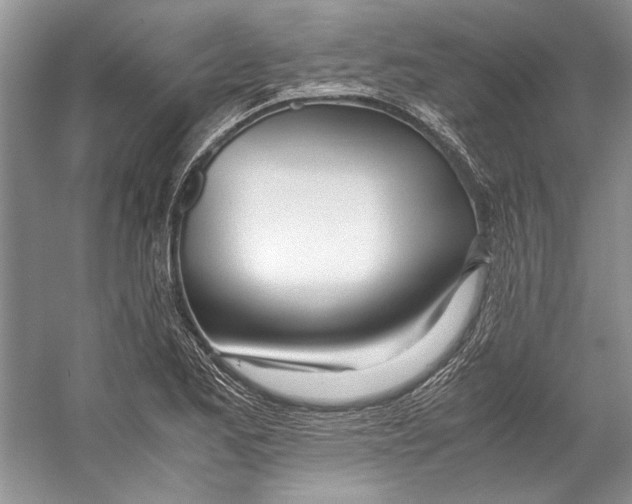 X0000053111173200508081217