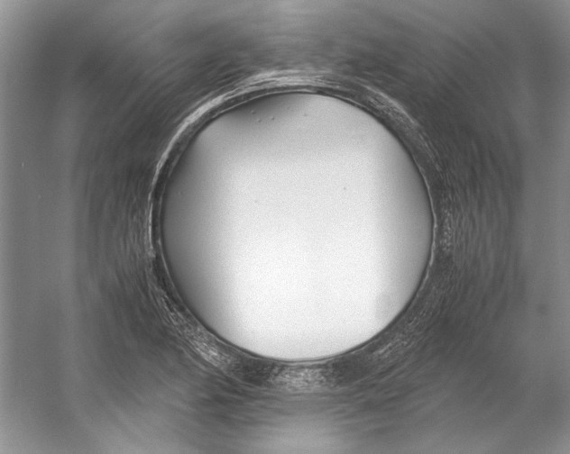 X0000053111174200508081217