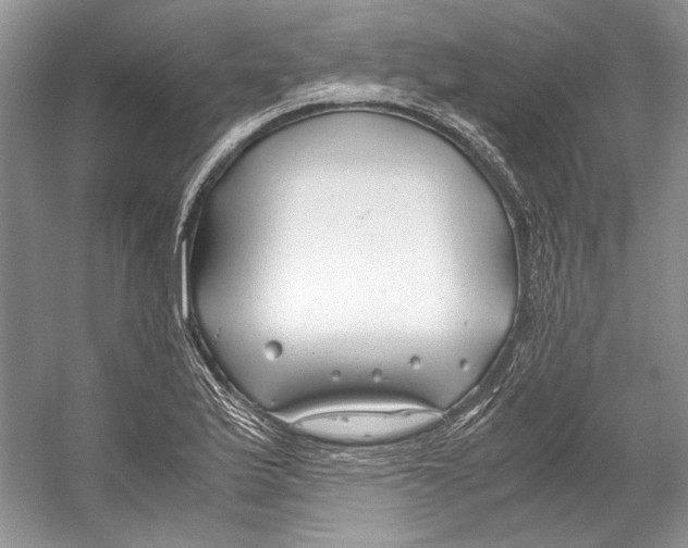 X0000053111175200508081217