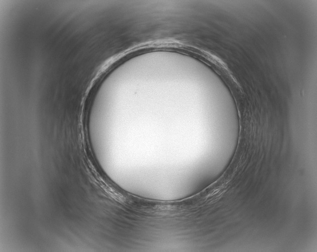 X0000053111176200508081217