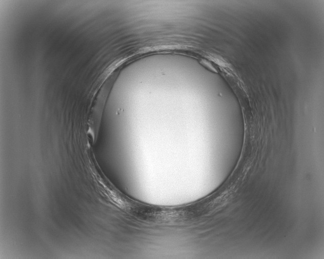 X0000053111177200508081217