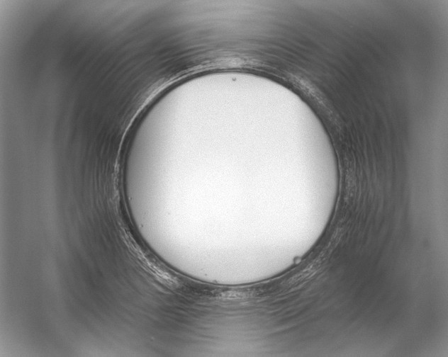 X0000053111178200508081217