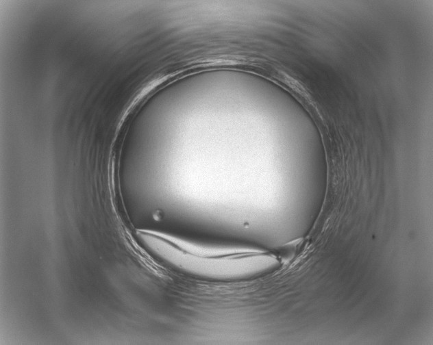 X0000053111179200508081217